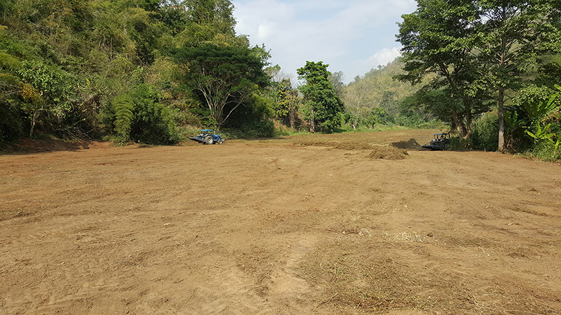 Cleared land with trees along the edges